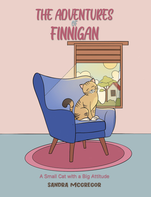 The Adventures Of Finnigan The Adventures Of Finnigan
