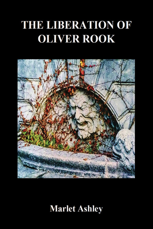 The Liberation of Oliver Rook The Liberation of Oliver Rook