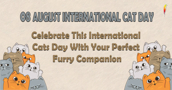 Celebrate International Cat Day with Our Delightful Reads