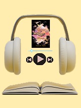 Audiobook Publishers UK | Austin Macauley Publishers
